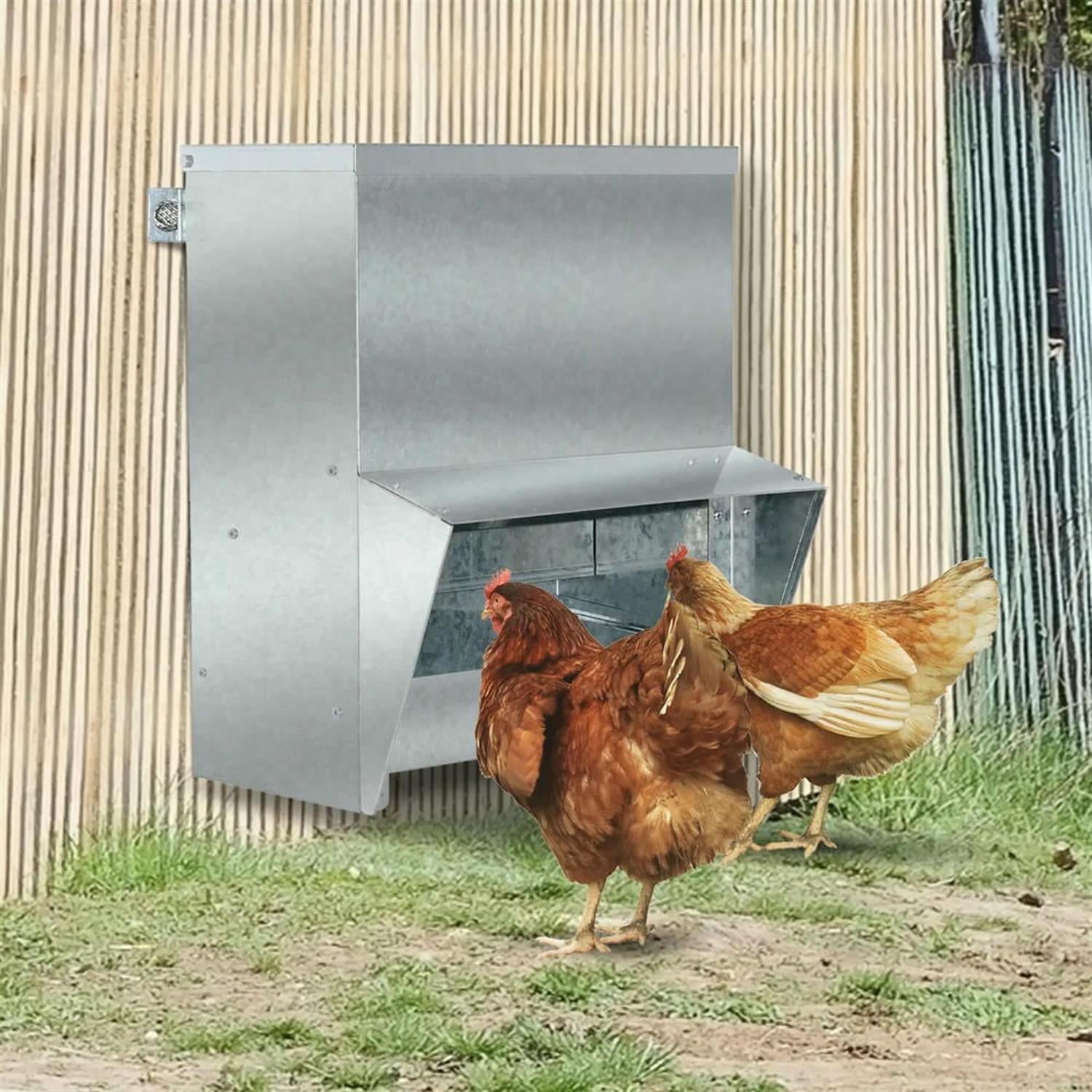 Kadyn Outdoor Automatic Metal Chicken Feeder, Poultry Feeder with Protective Lid for Chickens, Bantams, Pheasants, Holds 13 L of Feed, Silver