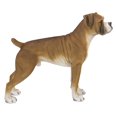 thumbnail image 2 of BOXER DOG STANDING, 2 of 5