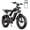 Black, variant on Bopzin 1500W Electric Bike for Adults, with 48V 20AH Removable Battery, 20" Fat Tire Off-Road Mountain Bike, UL2849