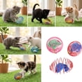 thumbnail image 7 of 8 Pcs Cat Spring Balls Stretchable Cat Springs Toys Interactive Cat Toys Rolling Cat Balls Colorful Playful Coils Spring Action Toy Caged Rats for Kitten Cat Pet Supplies Indoor Play (Random Color）, 7 of 7