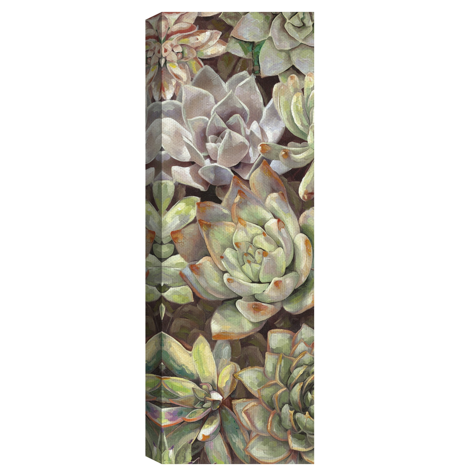 Desert Garden Panel I by Dixon Design Group Wrapped Canvas Painting Art Print