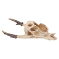 thumbnail image 1 of unbranded Con Calavera De Resina Para Terrarios Reptiles Y Peceras Color Marfil, 1 of 8