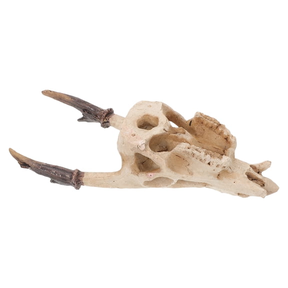 unbranded Con Calavera De Resina Para Terrarios Reptiles Y Peceras Color Marfil