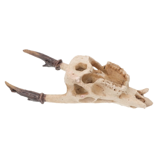unbranded Con Calavera De Resina Para Terrarios Reptiles Y Peceras Color Marfil