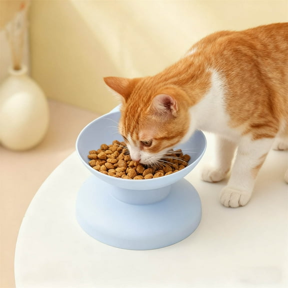 Hometravel Elevated Pet Food Bowl, Anti Spill Tilted Design Slow Feeder Dish, Ergonomic Raised Feeder for Cats and Dogs with Neck Support