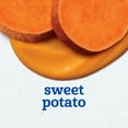 thumbnail image 3 of Gerber Stage 2 Baby Food, Sweet Potato Puree Tubs, Baby Puree, 2PK 8 oz, 3 of 15