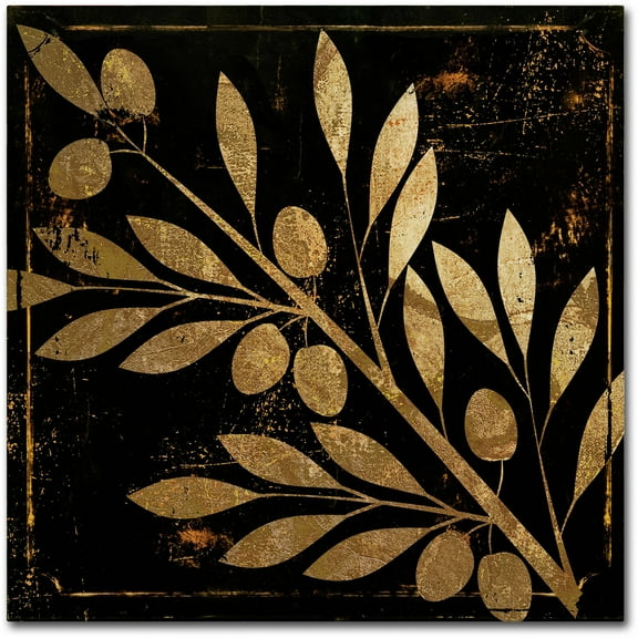 Trademark Fine Art "Bellissima I" Canvas Art by Color Bakery