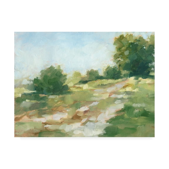Trademark Fine Art 'Beaten Path II' Canvas Art by Ethan Harper