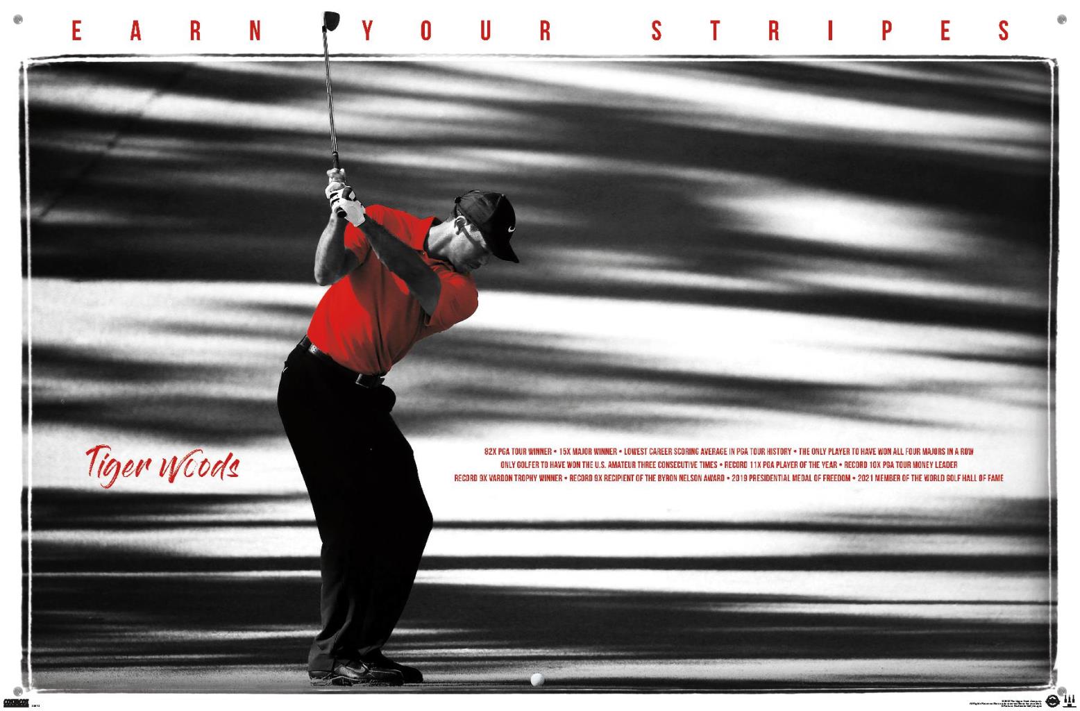 Tiger Woods - Earn Your Stripes Wall Poster with Pushpins, 22.375" x 34"
