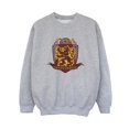 thumbnail image 1 of Harry Potter Garçons Gryffindor Badge de Poitrine Chandail en Molleton, 1 of 3