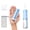 Blue, variant on Bezvoi Water Flosser Cordless Travel, Mini Oral Irrigator with Telescopic Water Tank, 5 Modes, 6 Jet Tips, IPX7 Waterproof Electric Portable Water Teeth Cleaner Picks for Braces Bridges Care