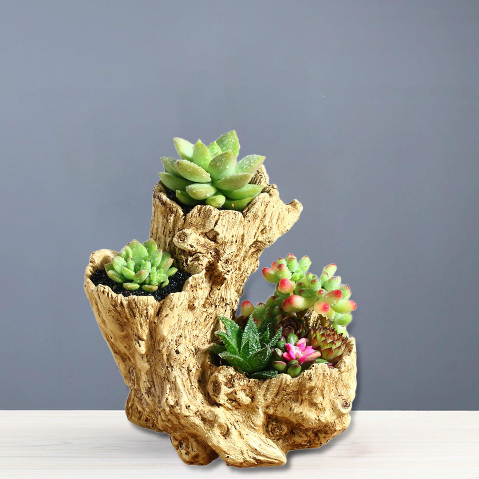 CarpNettore Planter Pot Artificial Driftwood Succulent Container for Bedroom Home Indoor