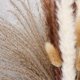 thumbnail image 2 of Hierba de pampa seca natural Afortunado decoración Boho, 2 of 5