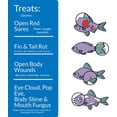 thumbnail image 3 of API Melafix Liquid Water Treatment, 473mL, 3 of 6