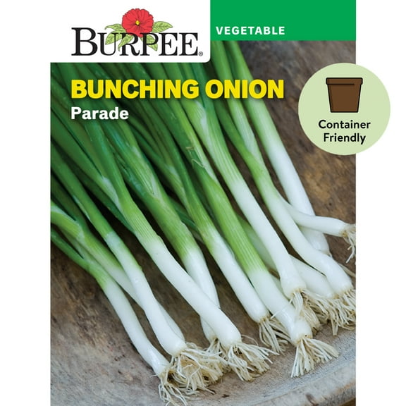 Burpee Parade Bunching Onion Vegetable Seed, 1-Pack