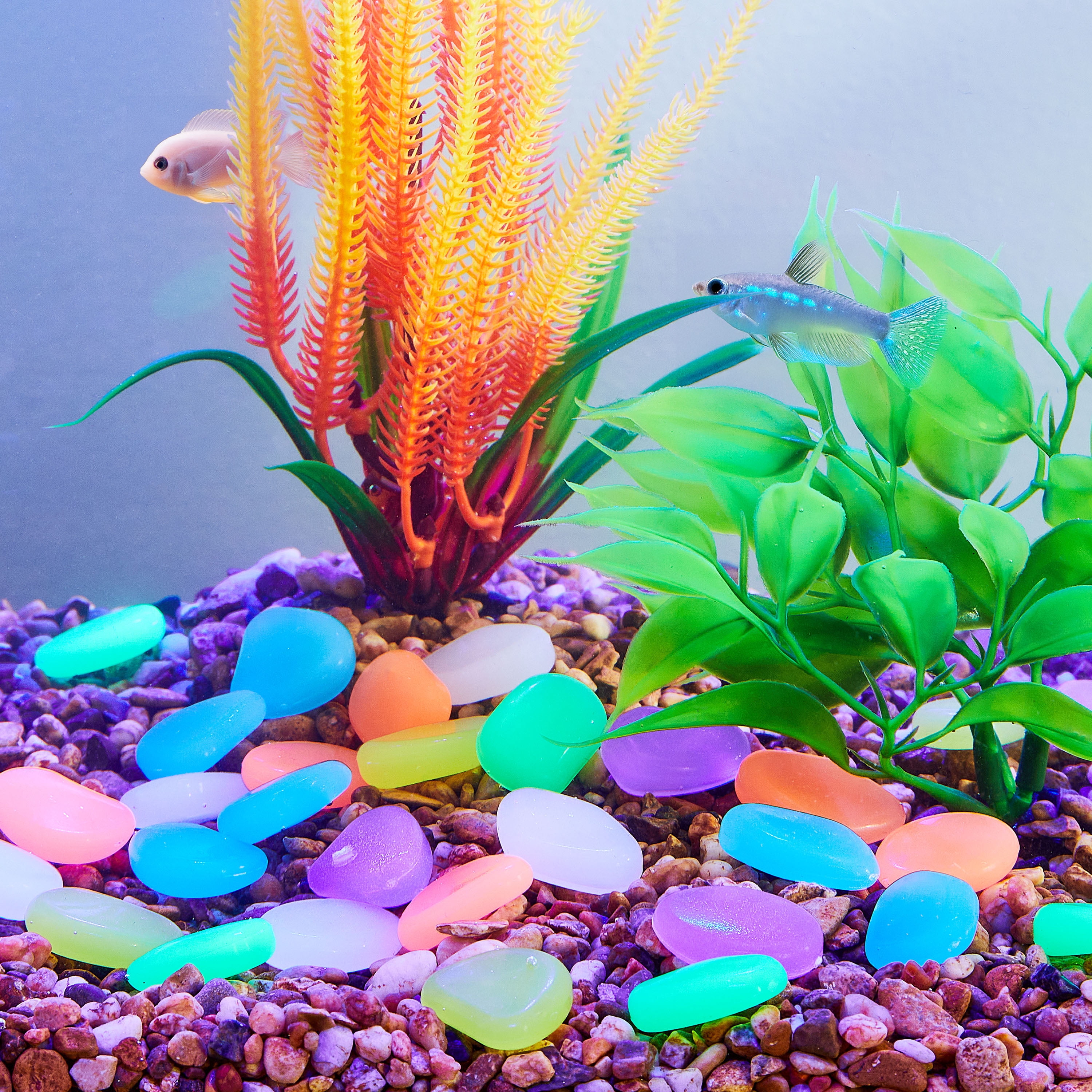(4 pack) Vibrant Life Glow Stones Aquarium Decor, 3.5 oz
