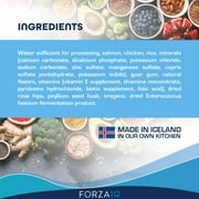 Forza10 Wet Dog Food Digestive Support 12 pack