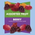 thumbnail image 3 of Mott’s Berry & Assorted Fruit Flavored Snacks, Family Pack, 64 oz (80 Pouches), 3 of 6