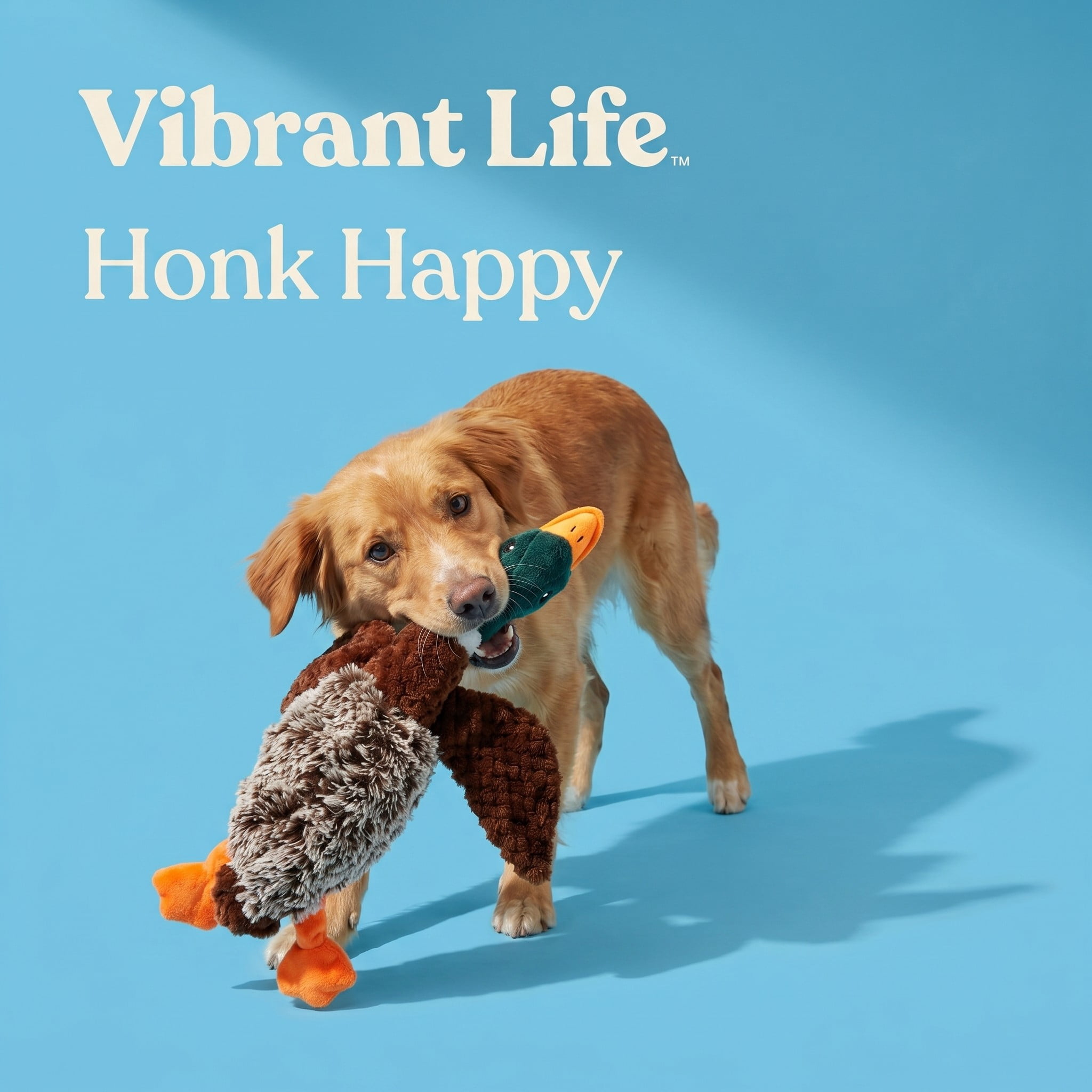 (3 pack) Vibrant Life Multicolor Duck Plush Dog Toy with Honking Squeaker, Chew Level 1
