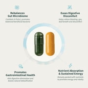 Snap Supplements Organic Spirulina and Gut Health Bundle - Superfood, Phytonutrients, Trace Minerals + Probiotic for Digestive and Gut Health
