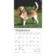thumbnail image 4 of BrownTrout, Beagle 2025 Mini Wall Calendar, 4 of 9