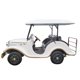 thumbnail image 3 of Pequeño coche VIP de aeropuerto, clásico, retro, para adultos, scooter de golf, eléctrico, de alta velocidad, carrito turístico antiguo, 3 of 5