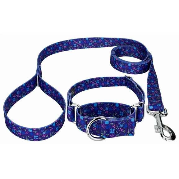 Country Brook Petz® Blueberry Fields Martingale Dog Collar and Leash, Extra Large