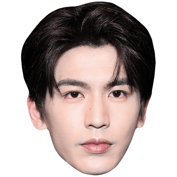Zhang Linghe (Dark Hair) Big Head. Larger than life mask.