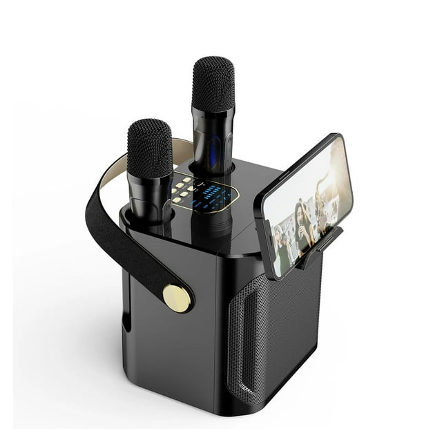 Wireless Dual Microphone Professional Handheld Speaker 360 Stereo Surround For Party Show Sta Wedding ,Powerful Sound
