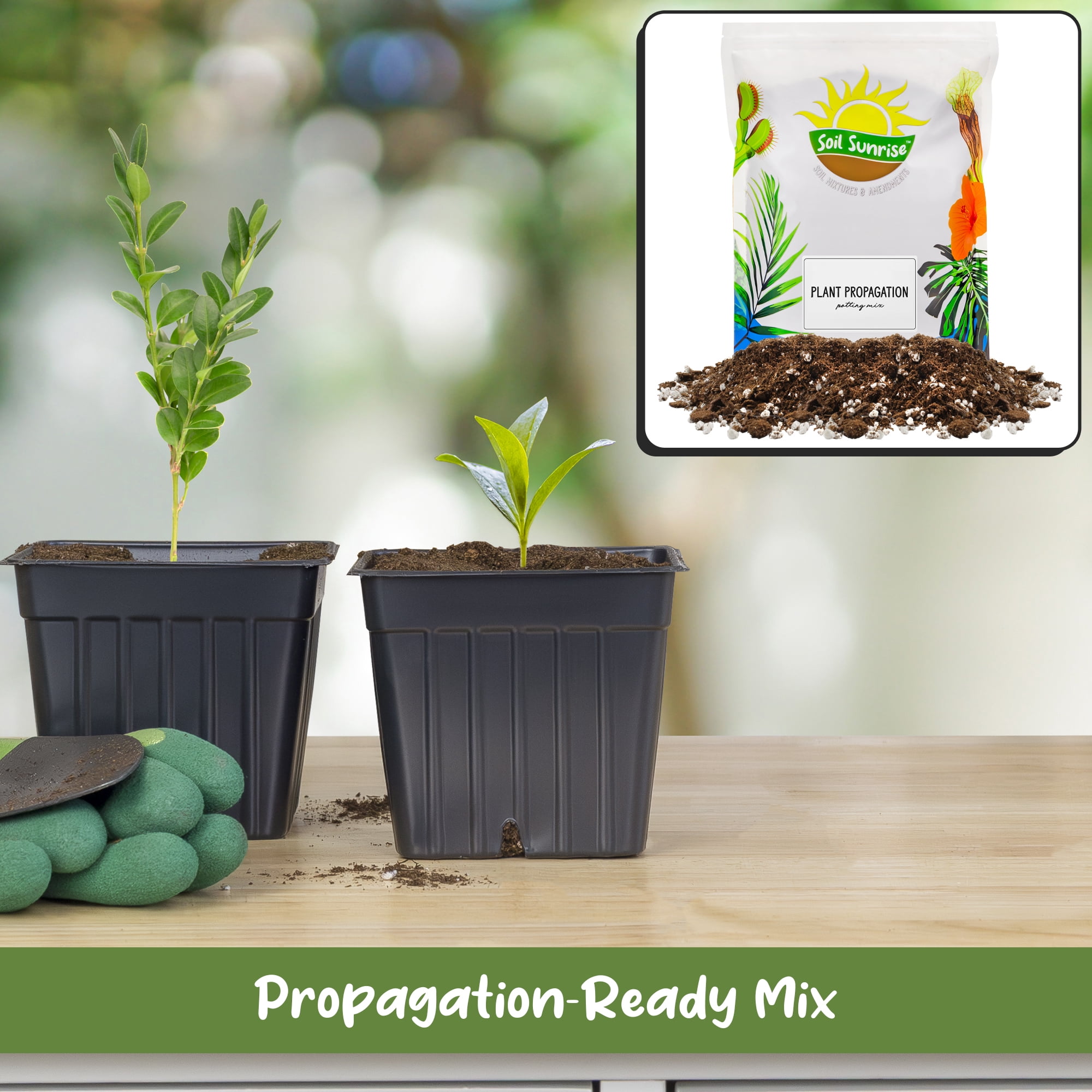 Soil Sunrise Plant Propagation Potting Mix (8 Quarts); Ideal Starter Mix for Rooting Plant Cuttings