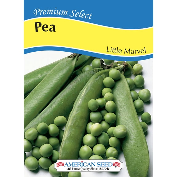 American Seed Pea Little Marvel Dwarf Annual Vegetable Seeds Full Sun