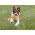 thumbnail image 4 of SPOT Skinneez Extreme Quilted Jouet Pour Chien Durable, Renard, 4 of 5