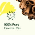 thumbnail image 6 of Plant Therapy Germ Fighter Essential Oil Blend 100% Pure, Undiluted, Natural Aromatherapy 100 mL (3.3 fl oz), 6 of 8