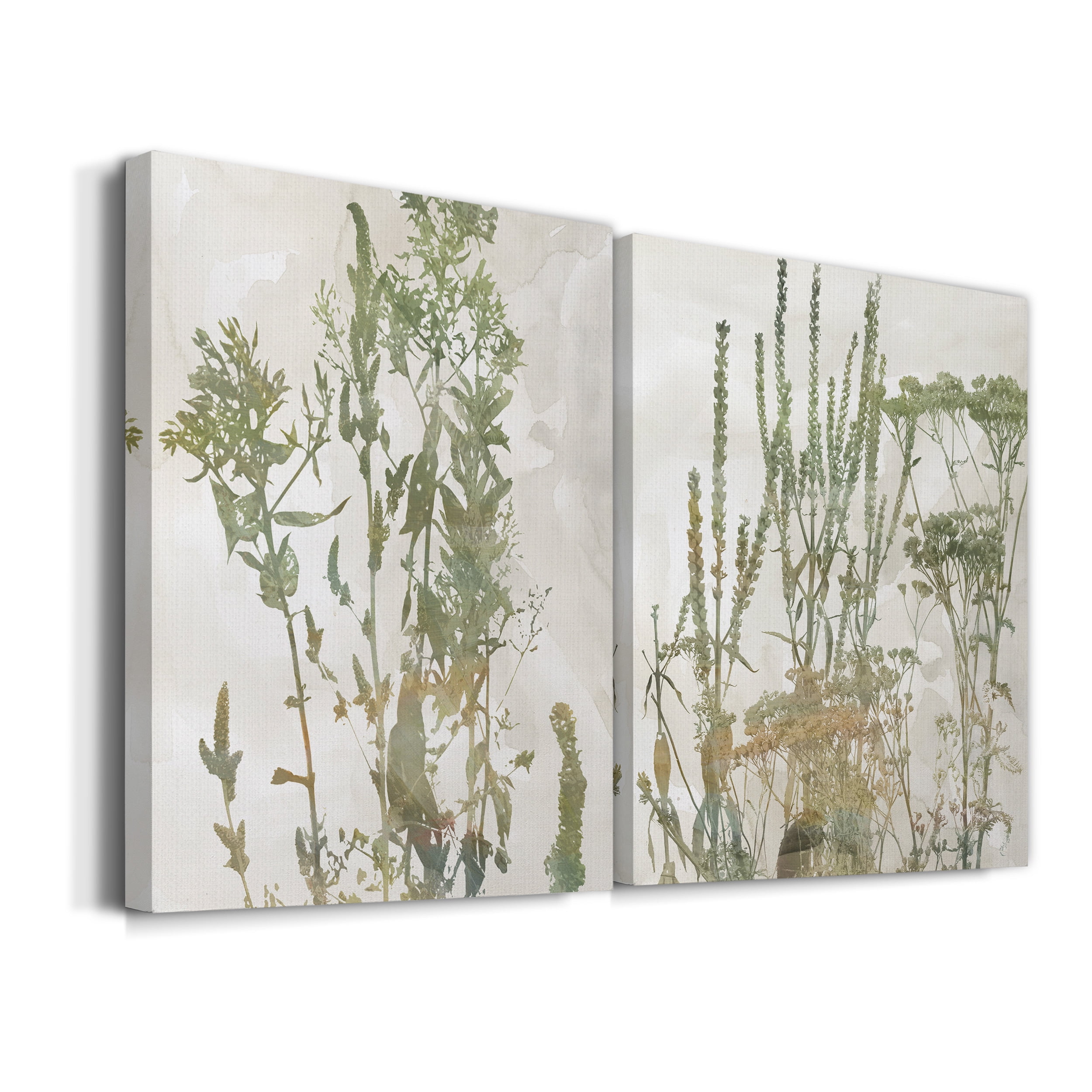 Untamed Garden I Premium Gallery Wrapped Canvas - Ready to Hang - Set of 2 - 8 x 12 Each