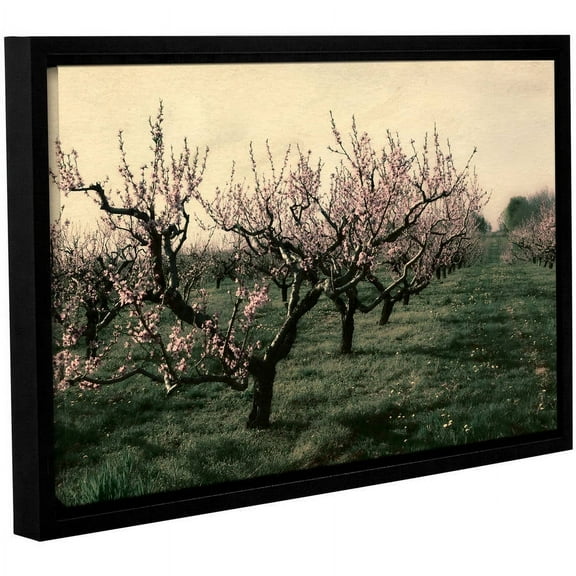 ArtWall Kevin Calkins "Cheery Cherries" Gallery-Wrapped Floater-Framed Canvas