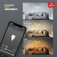 thumbnail image 4 of Globe Electric Wi-Fi Smart 60W Equivalent Vintage Filament Tunable White Amber Glass LED Light Bulb, No Hub Required, Voice Activated, ST19 Shape, E26 Base, 34919, 4 of 5
