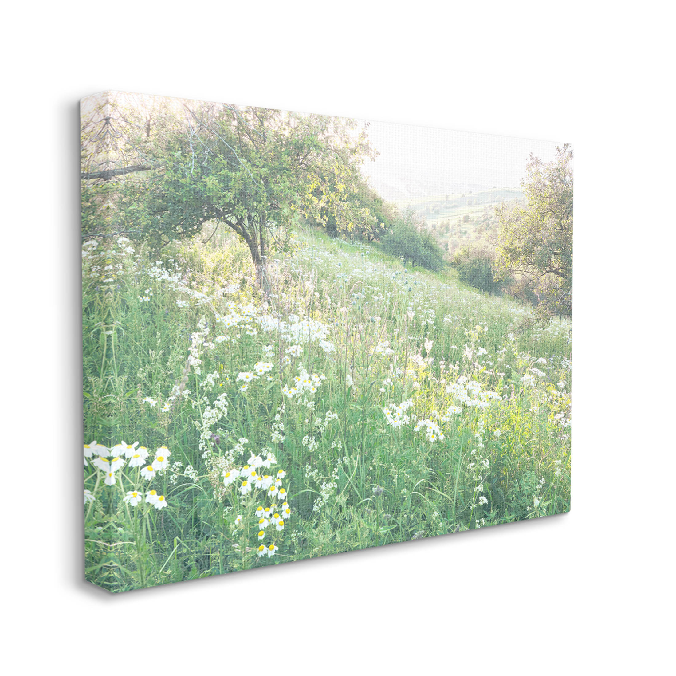 Spring Meadow Grassland Field Landscape Photograph Gallery Wrapped Canvas Print Wall Art