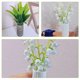 thumbnail image 4 of FUTUREORYY 4Ud Maceta Con Planta Campanilla Ideal Para Adorno Y, 4 of 8