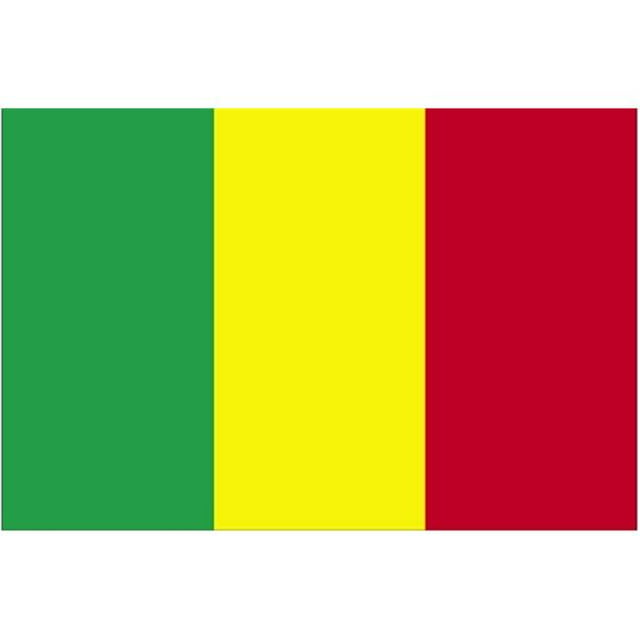 Annin Flagmakers 195425 Drapeau Nyl-Glo Mali 4 Pi. X 6 Pi.