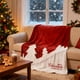 thumbnail image 4 of CaiYueKe Christmas Throw Blanket Flannel Plush Soft Warm Reversible Cozy Fleece Blankets with Red Snowflake Design for Couch Bed Sofa Home Decor Winter Gift Holiday Season Comfort, 4 of 7
