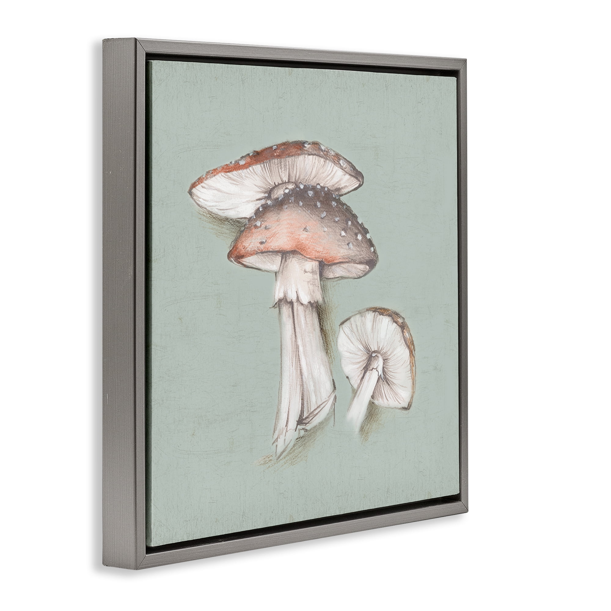 Stupell Industries Mushroom Bunch Drawing Plants & Flowers Painting Gray Floater Framed Canvas Art Print Wall Art, 18 x 18