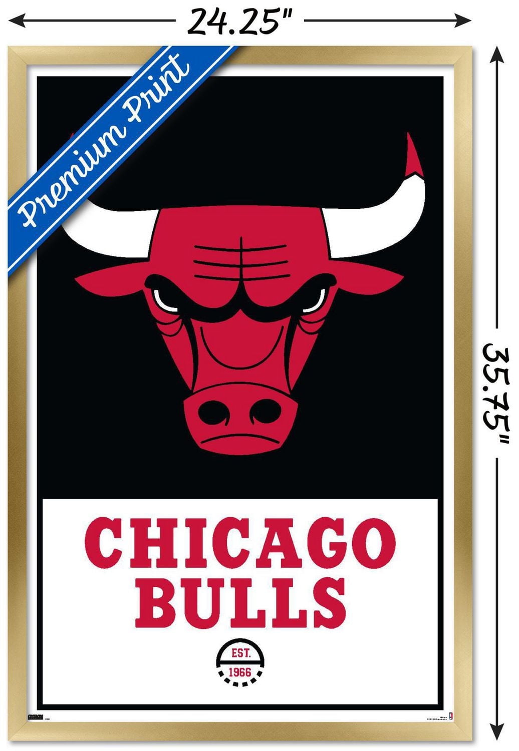 NBA Chicago Bulls - Logo 21 Wall Poster, 22.375" x 34" Framed