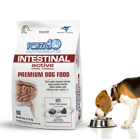Forza10 Active Intestinal Support Diet, Fish Flavor, Dry Dog Food, 6 lb Bag