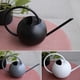 thumbnail image 5 of Mini regadera de 1000 ml con mango redondo para interiores y exteriores, esférica, de acero inoxidable, regadera de metal con pico largo y estrecho para plantas de jardín, color negro Adepaton LL-2120-1, 5 of 6