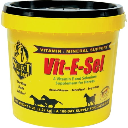 Richdel Inc D-Vit-e-sel Vitamin & Mineral Supplement For Horses 5