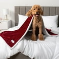 thumbnail image 6 of PetAmi Waterproof Dog Blanket for Small Medium Dog Puppy Cat Throw for Couch Cover Leakproof Protection, Sherpa Fleece, Reversible Soft Washable 29x40 Wine Red, 6 of 9