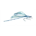 thumbnail image 4 of Dragonfly Piggy Bank, Hand Drawn Watercolor Dragonfly with Grunge Murky Influences Picture, Ceramic Coin Bank Money Box for Cash Saving, 3.6" X 3.2", Pale Blue White, by Ambesonne, 4 of 4