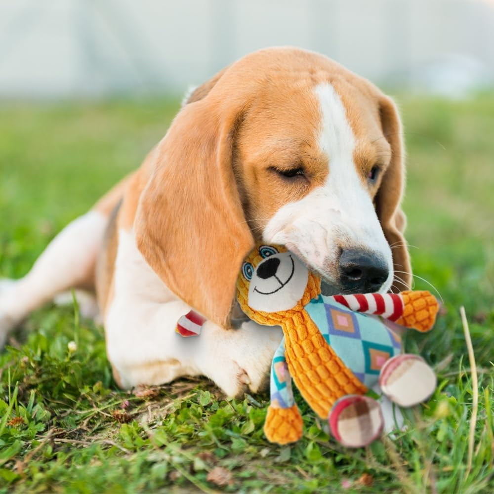 Indestructible Squeaky Dog Toy for Small Dogs - 2026 Durable Stuffed Plush with Squeaker & Crinkle, Chew Resistant Puppy Teething Toy for Aggressive Chewers P