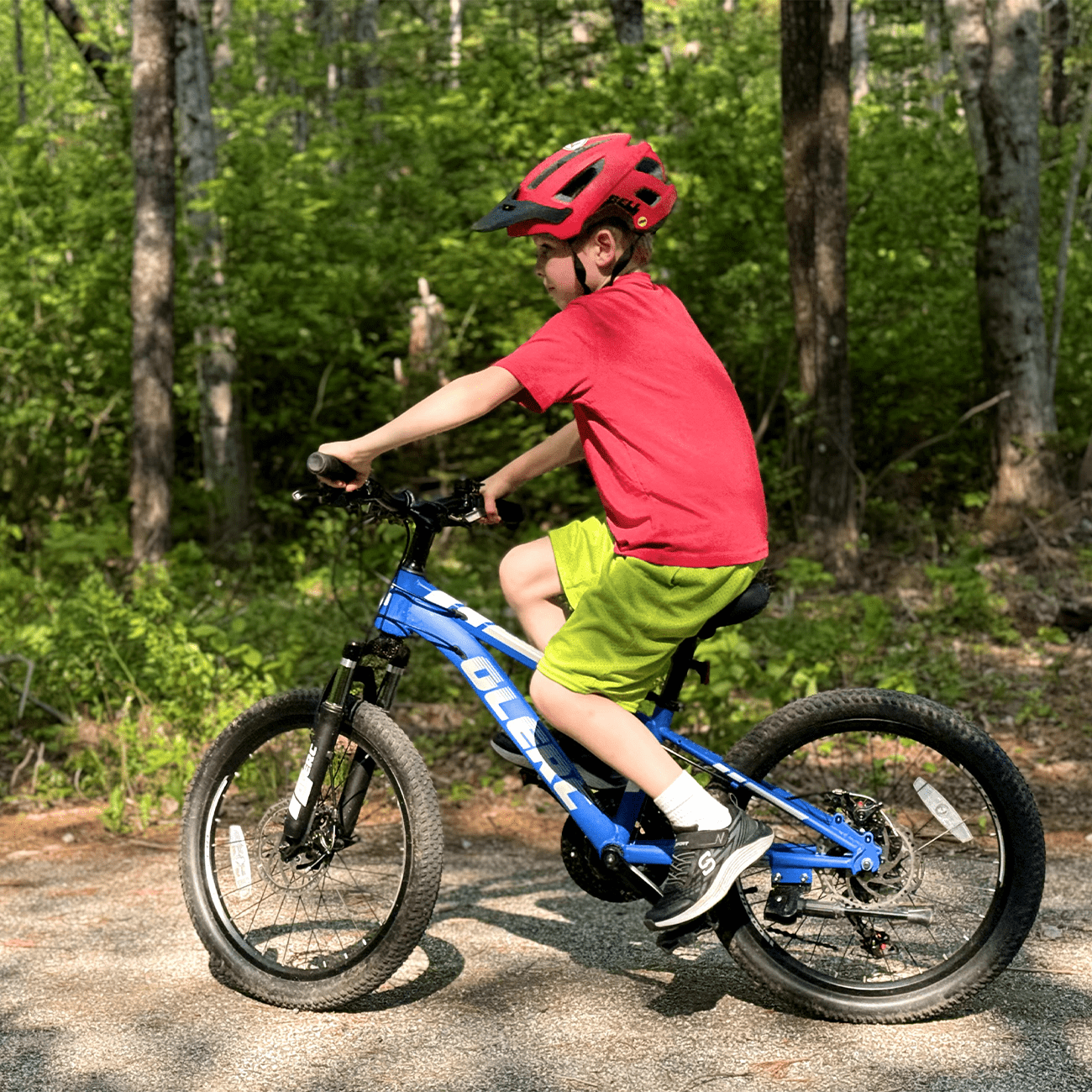 SIKORSKY  Pinnacle クラインピナクル　シルバー 27-inch-Mountain-Bike-21-Speed