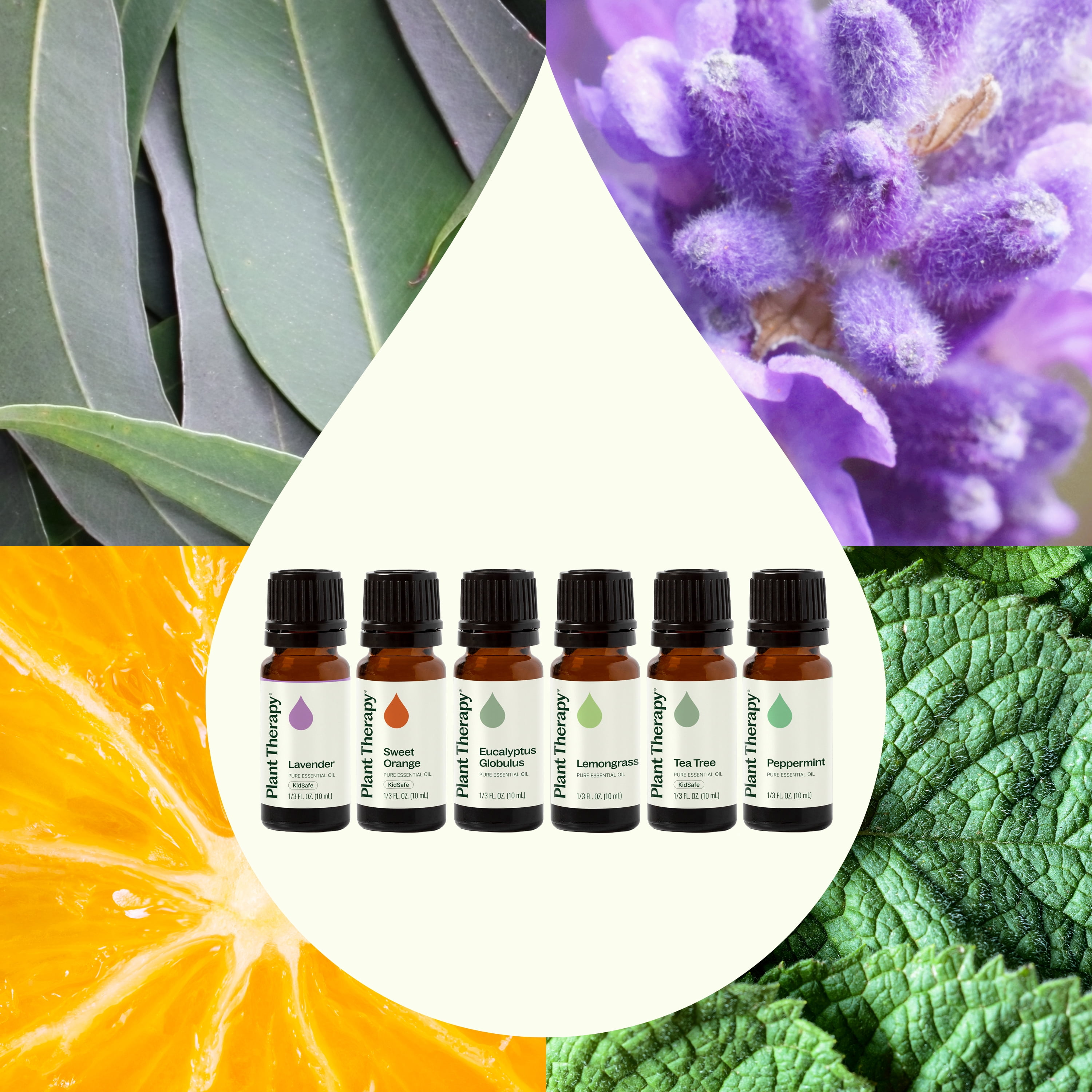 Plant Therapy Breathe Easy Essential Oil Set - Lavender, Eucalyptus, Peppermint, Lemongrass, Orange Sweet, Tea Tree, 100% Pure, Aromatherapy, Therapeutic Grade 10 mL (1/3 oz)